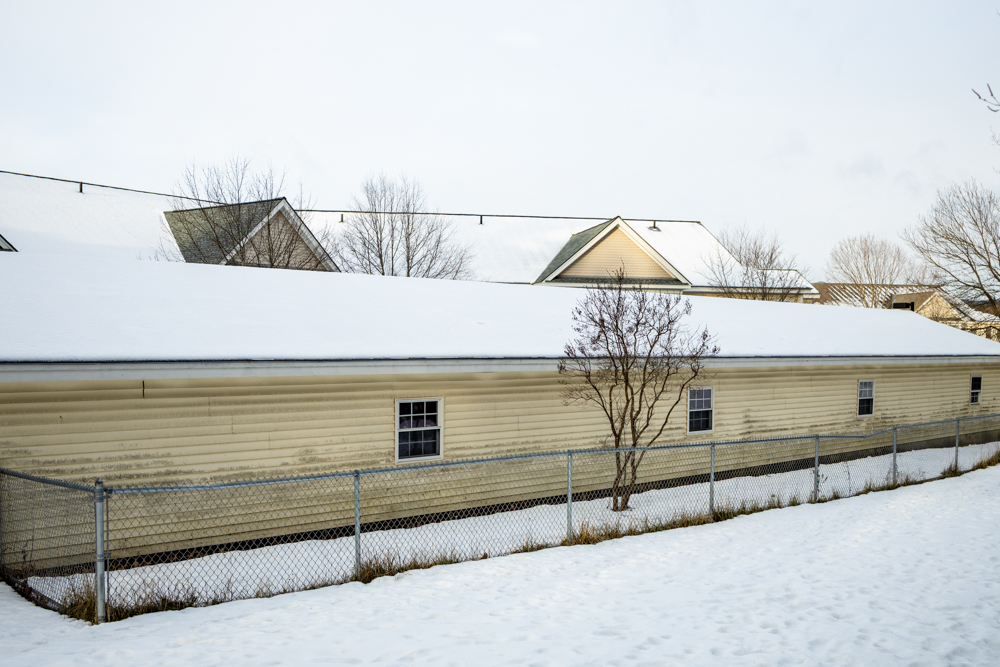 Tree Behind Building