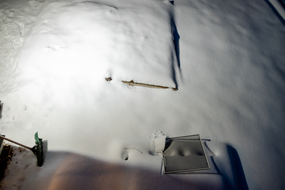 Window Screen in Snow