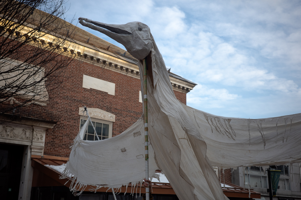 Protest - Burlington, VT