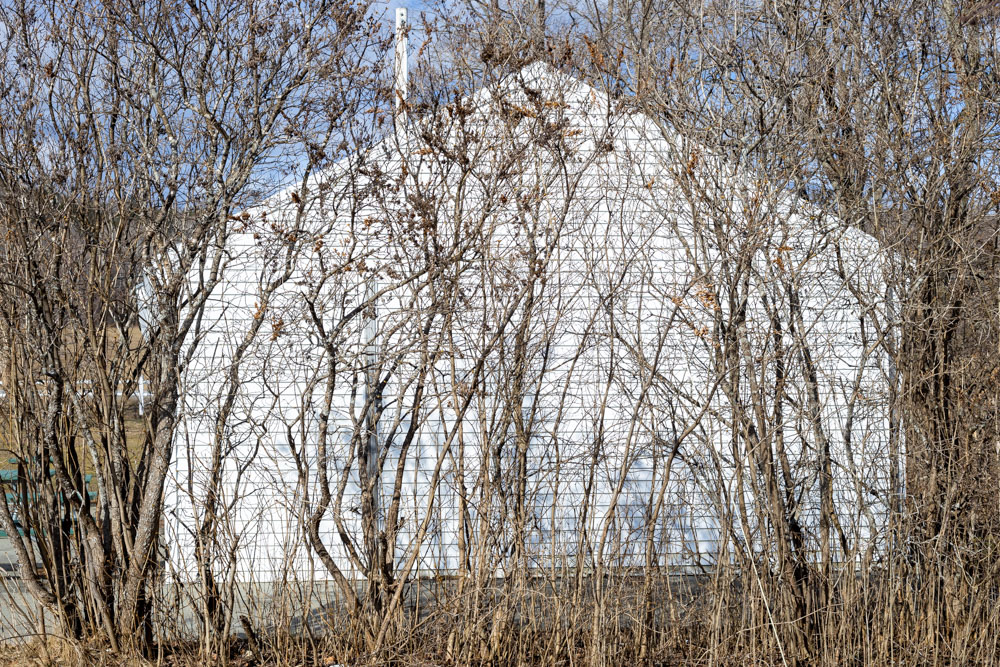Branches and Building