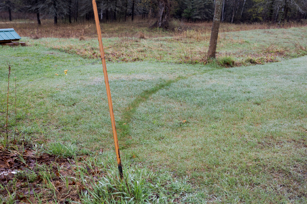 Post, Grass, and Tree