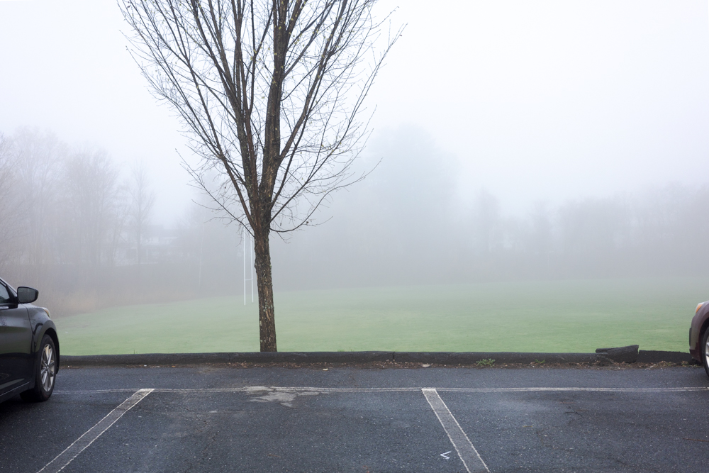 Parking Spot Near Tree