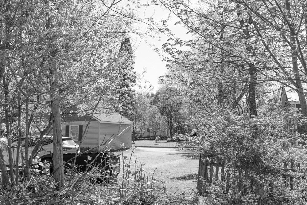 Tree in Neighborhood