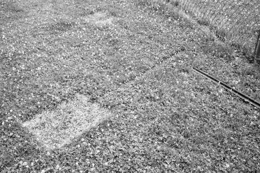 Where A Sign Used to Be