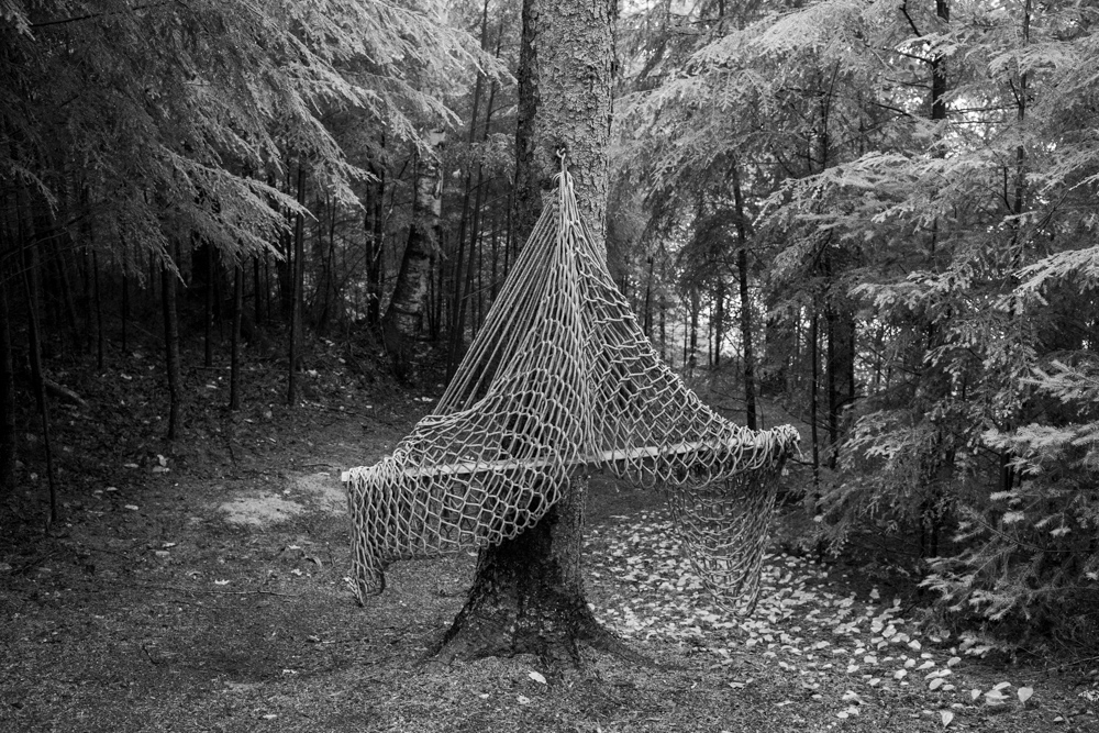 Hammock