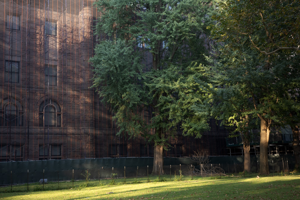 New York City, August 2025