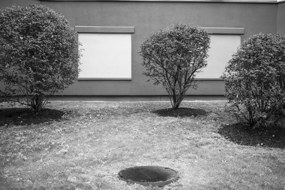 Manhole, Building, and Trees