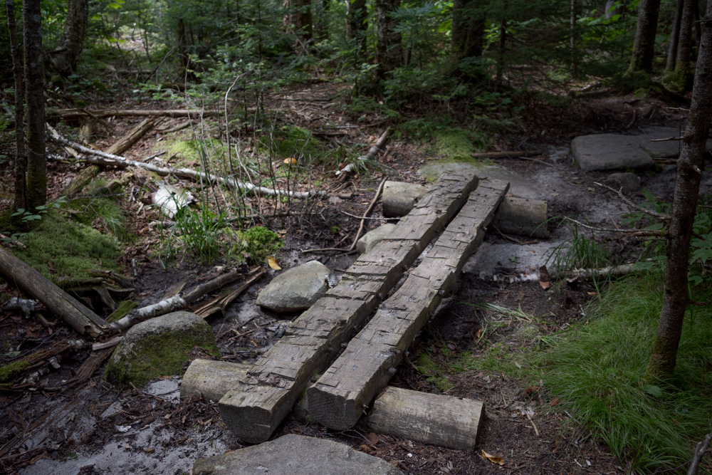 Trail
