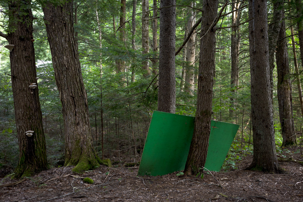 Green Board Between Trees