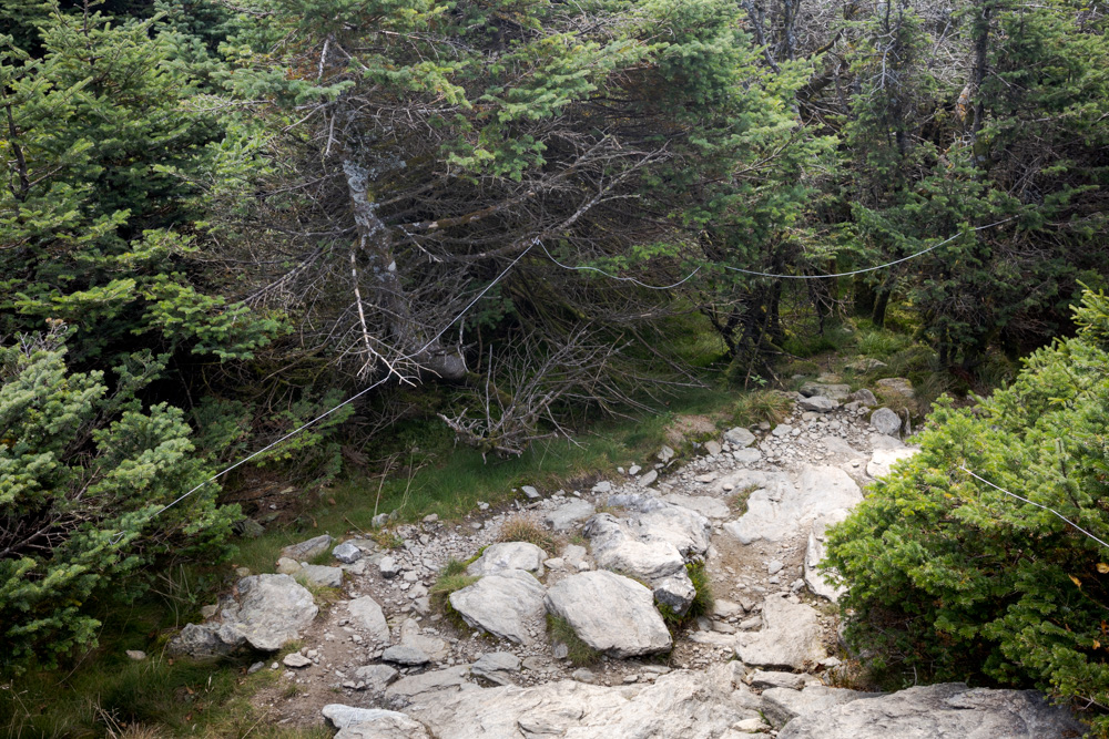 Trail Off of Mansfield