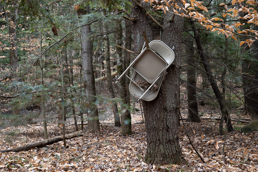 Chairs in the Woods