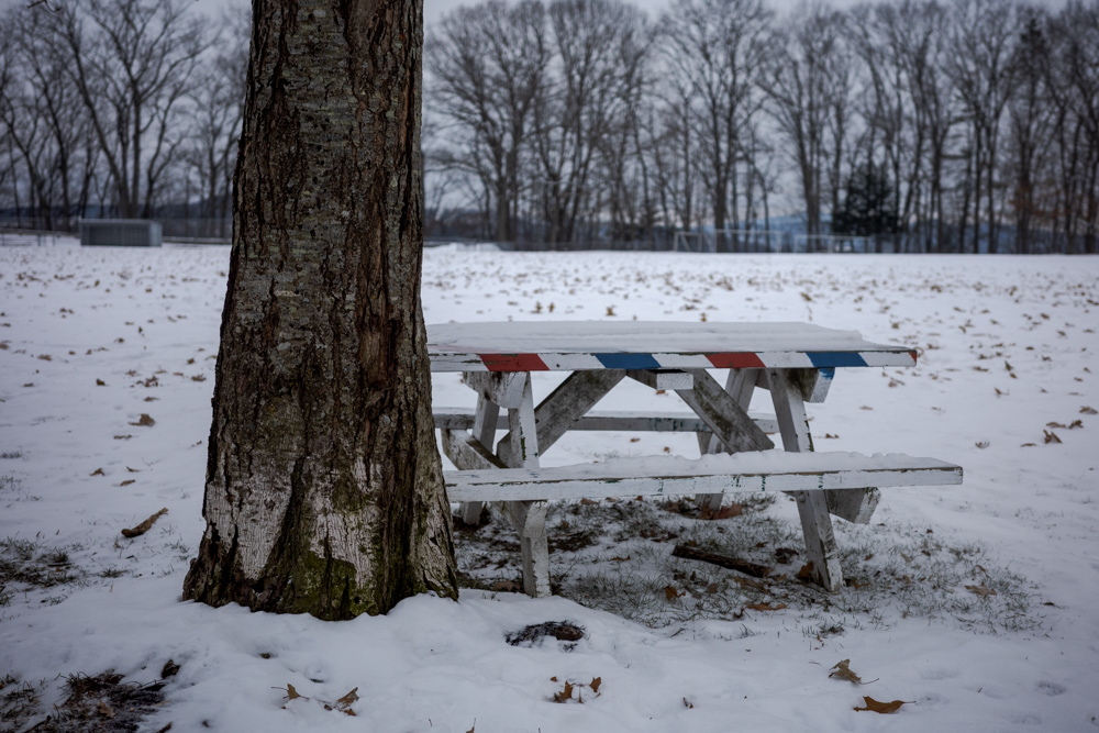 Picnic Table