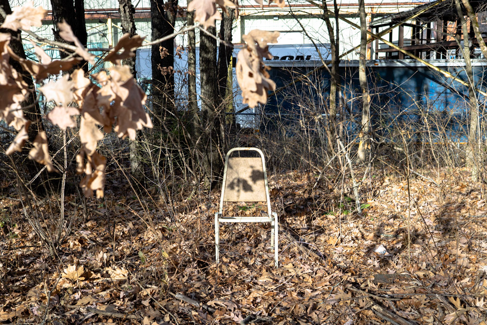 Chair and Leaves