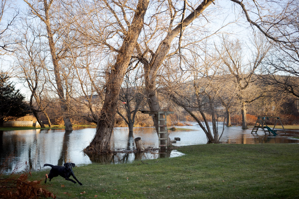 Flooding Interrupted