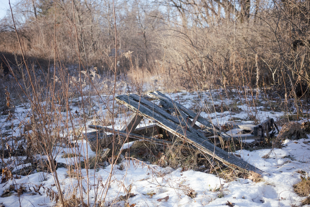 Behind Home Depot #2