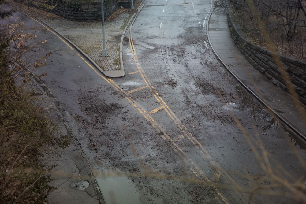 Road Through Central Park