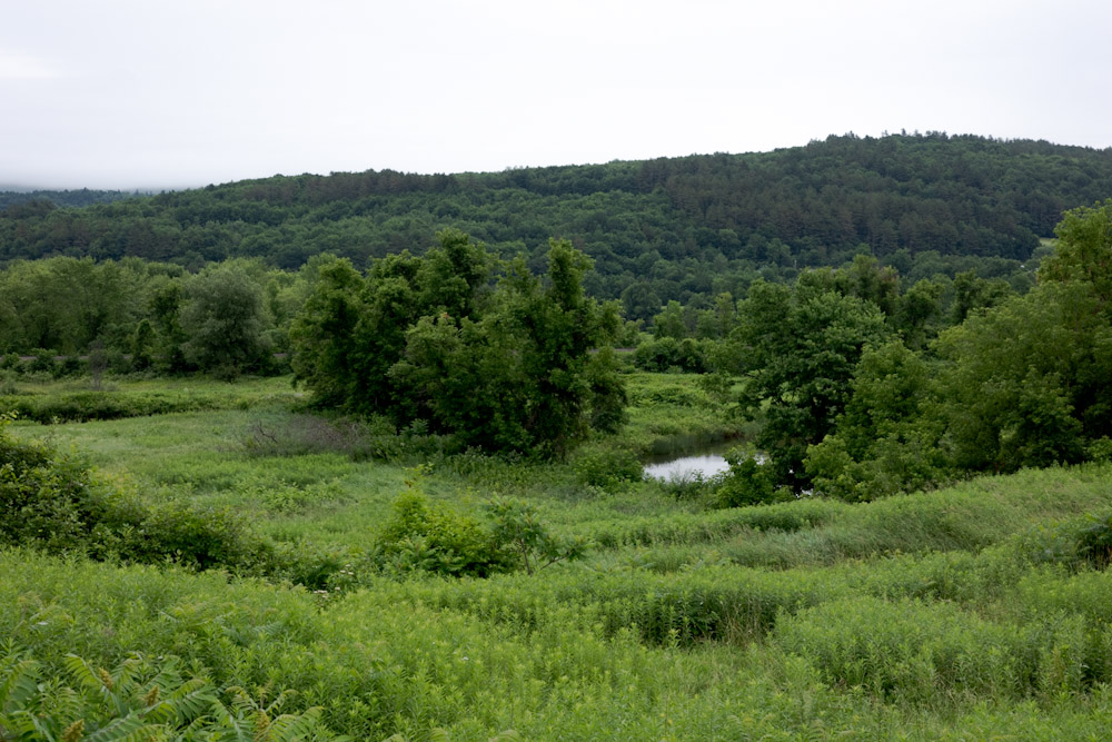 Edge of Vermont