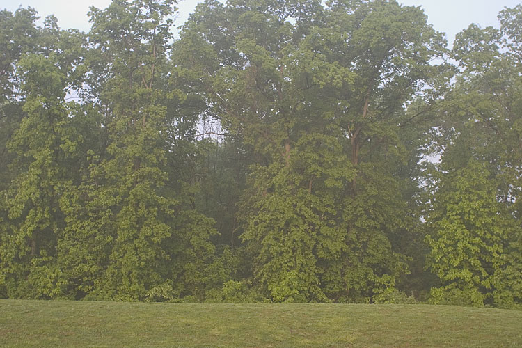 05-13-04_005.jpg