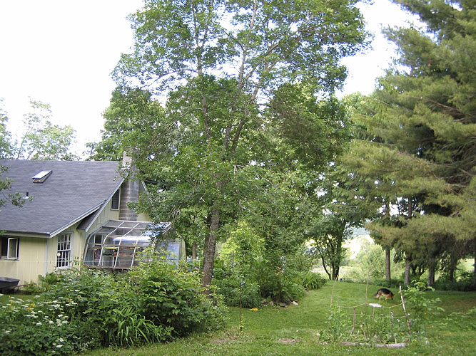 06-20-04_001.jpg
