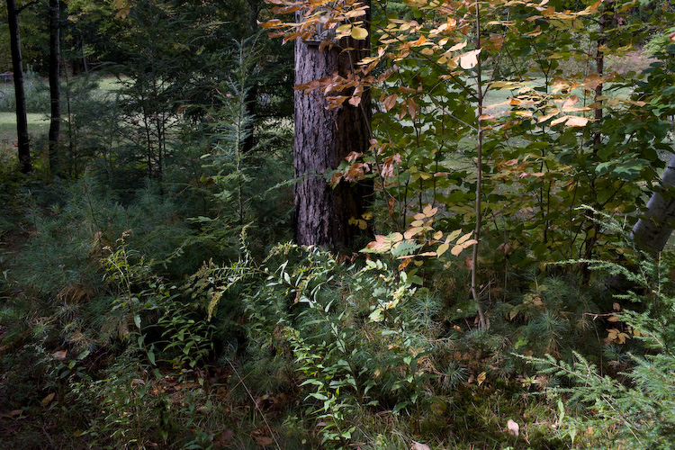 20070928-_MG_6015.jpg