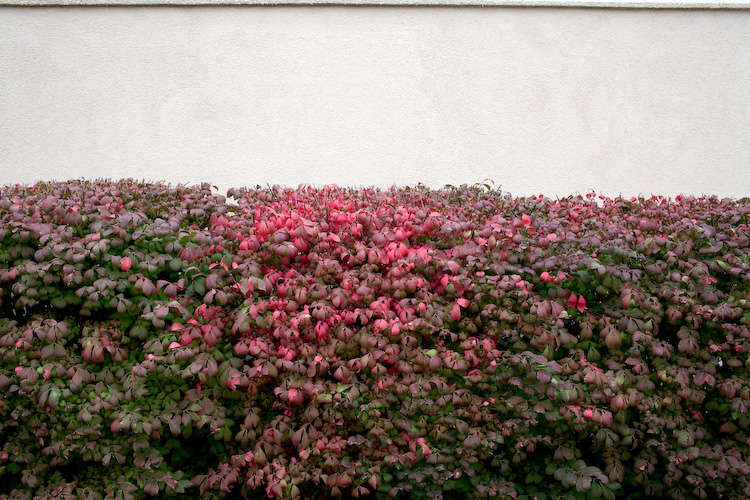 20071025-_MG_6408.jpg