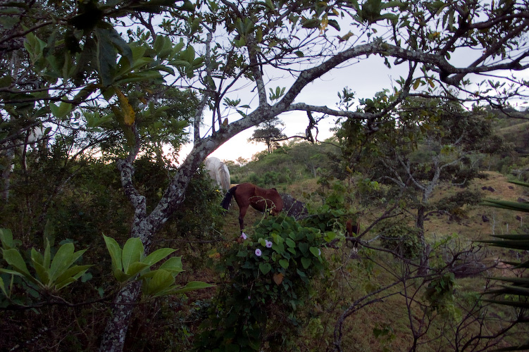 20071228-P1000707.jpg