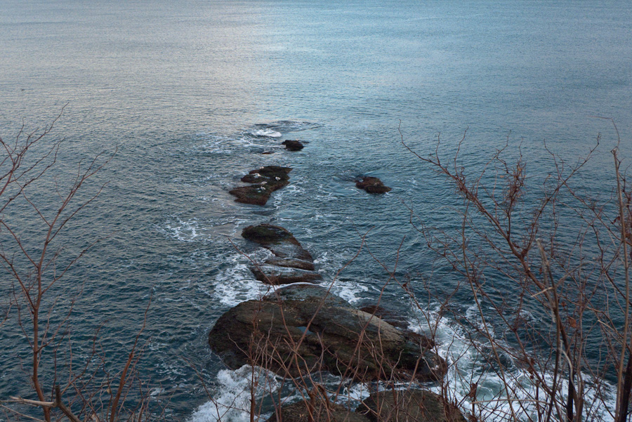 20081129-P1000621.jpg