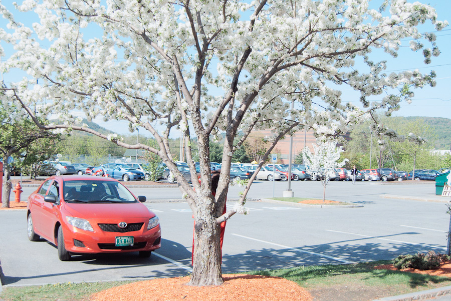 20090508-P1020787-1.jpg