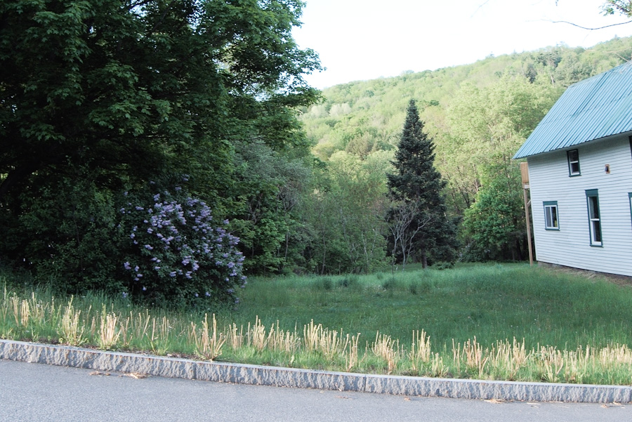20090522-P1030013-1.jpg